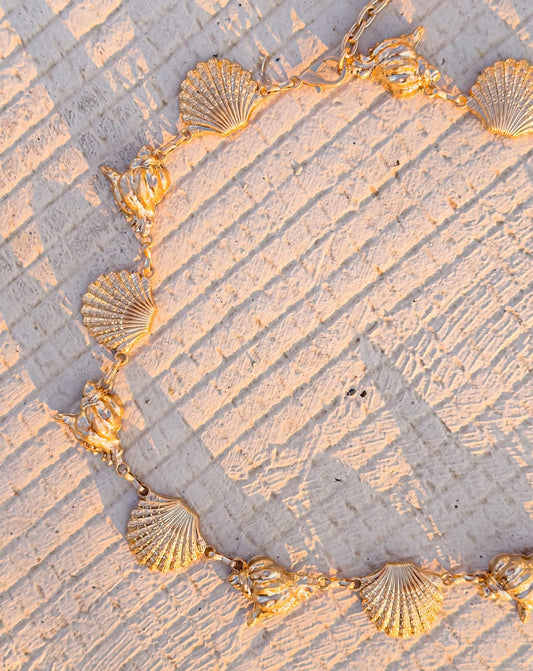 ✨WC15: Pinteresty Waist Chains: Golden Sea Shell  💫