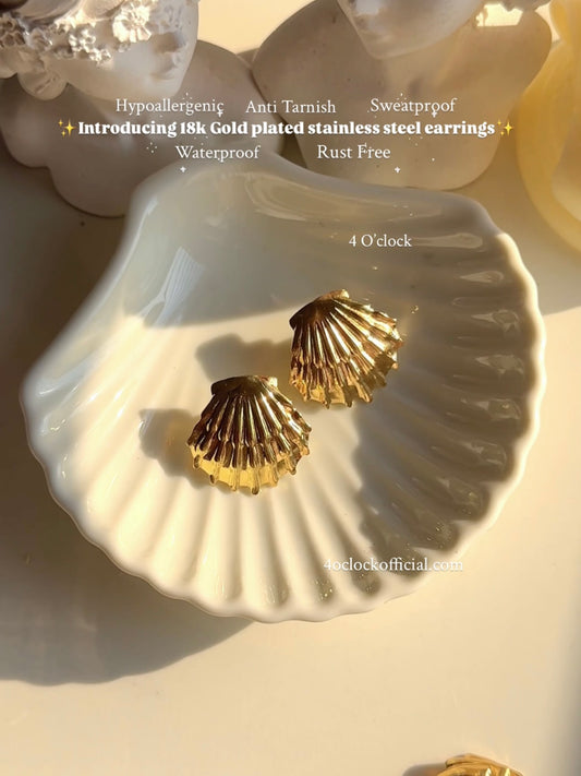 GE23: 💫Stainless Steel Earrings: Seashell💫