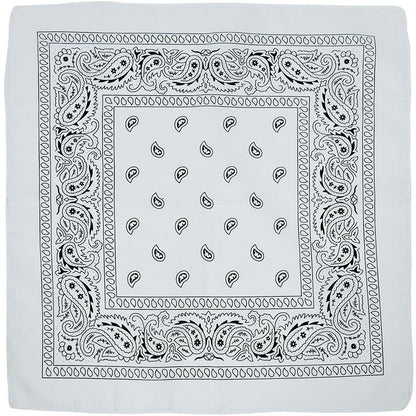 ✨90’s Bandana: White💗