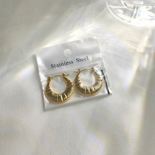 GE76: 18K Gold Plated Stainless Steel Ear Hoops