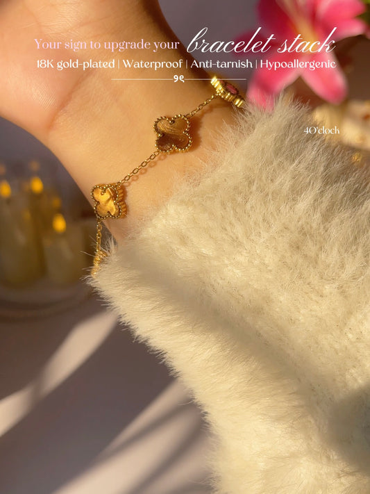 B54: 18k Gold Plated Stainless Steel Minimalist Bracelet:Brown Radiant